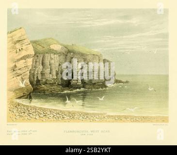Ornithological Miscellany V.3 London Trübner and Co. Bernard Quaritch R.H. Porter 1876-1878 Birds Fiji Great Britain Mongolia Pictorial Works, The scene depicts a serene coastal landscape featuring rugged cliffs that rise prominently above a sandy and pebble-strewn beach. The cliffs, characterized by their layered texture and natural formations, provide a striking backdrop to the gently lapping waters of the sea. In the foreground, a scattering of smooth pebbles adds detail to the shoreline. Seagulls are seen soaring above, enhancing the sense of tranquility and connection to nature. The atmos Stock Photo