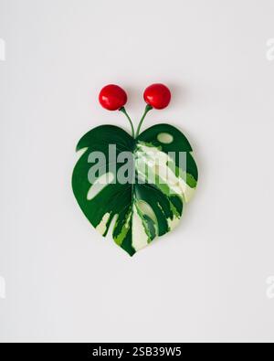 Butterfly made with colorful tropical leaf and red cherry fruit on white background. Minimal creative nature concept. Flat lay, top view. Stock Photo