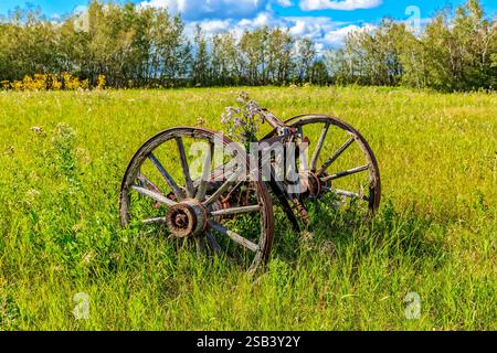 An old wheel is sitting in a field of grass. The wheel is rusted and has a chain on it Stock Photo