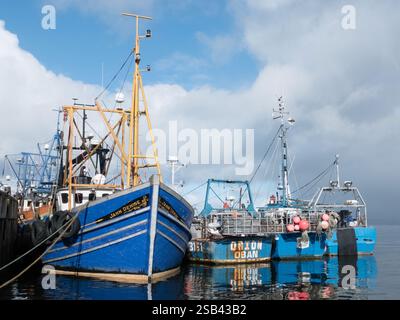 Fishing boats moored in Oban harbour, Scotland Stock Photo