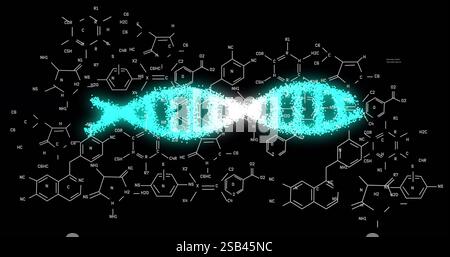DNA strand image over chemical structures and molecular formulas Stock Photo