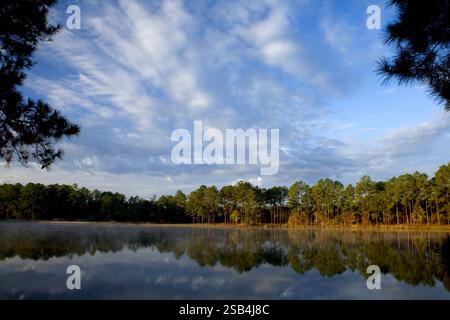 GA00126-00...GEORGIA - Early morning light on a small lake near the town of Townsend. Stock Photo