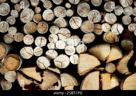 Titre	 stacking of wood logs, to burn during winter Stock Photo