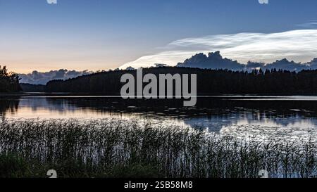 charming night landscape with silver clouds, silver clouds over the lake, dark forest silhouette in the background, mesospheric clouds, Latvia, Lake V Stock Photo