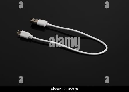 USB cable on a black background. USB and micro USB cable, on black background in insulation. Stock Photo