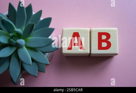 Plan A and Plan B. Plan A and Plan B on wooden cubes. Beautiful pink background with succulent plant. Business concept. Copy space. Stock Photo
