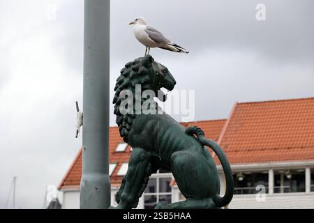 Seagull on a lion head statue in the Norwegian city of Bergen Stock Photo