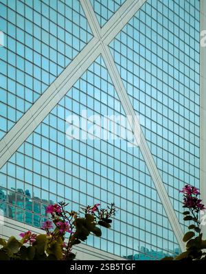 Close-up view of a Hong Kong building's glass facade, featuring a distinctive X-shaped structure and vibrant pink flowers in the foreground. Stock Photo