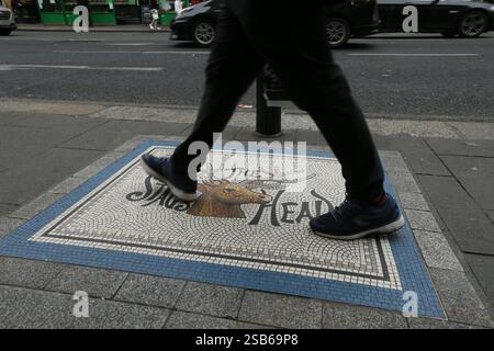 Dublin, Ireland - 22nd January 2025 - a mosaic for the Stag's Head pub located on a footpath on Dame Street in Dublin city centre Stock Photo