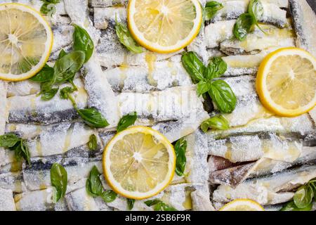 Baby hering fish stacked in a tray with olive oil , basil leaves and lemon slices, soft focus Stock Photo