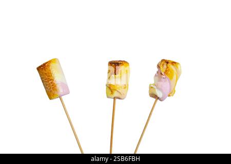 Three pastel colored burned marshmallows on wooden skewers, close up isolated on white Stock Photo