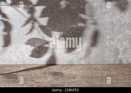 Beautiful backdrop with cement textured wall, weathered wood desk and tree foliage shadows silhouettes, cipy space for product Stock Photo