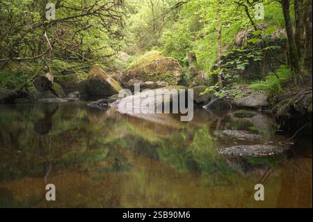 Photography of ancient forest in Brittany-rocks-moss-trees and river Stock Photo