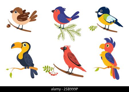 Colorful birds perched on branches displaying their unique features in a vibrant setting Stock Vector