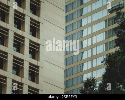 Two Hong Kong buildings stand side-by-side, one with a concrete facade, the other glass.  Green foliage is visible at the edge. Stock Photo