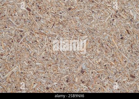 Chipboard texture. Pressed wood chips. Beige wooden background Stock Photo
