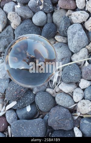 a lens ball, reflects a person taking a creative selfie with arms outstretched amidst smooth gray and white stones. Stock Photo