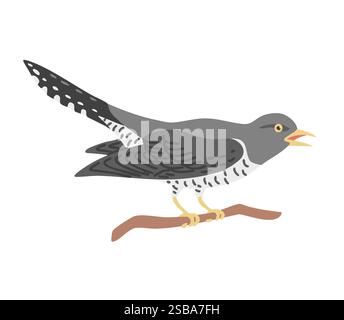 Forest bird cuckoo. Flying feathered. Animals, nature and ornithology. Cartoon vector illustration isolated on white background Stock Vector