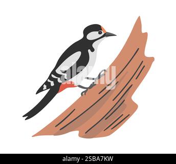 Woodpecker forest bird on a tree. Flying feathered. Animals, nature and ornithology. Cartoon vector illustration isolated on white background Stock Vector