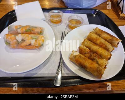 Vietnamese food: two types of spring rolls: fresh rice paper rolls (Goi Cuon a.k.a. summer rolls or nems) with shrimp and fried spring rolls (cha gio) Stock Photo