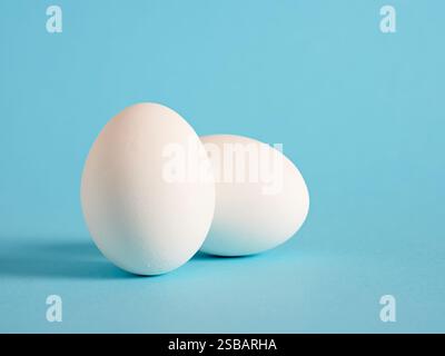 White eggs on blue background. Stock Photo