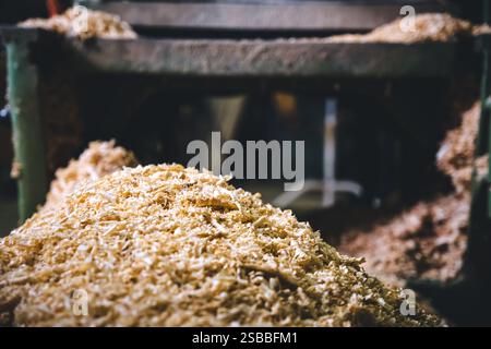 Wood shavings on planer Stock Photo