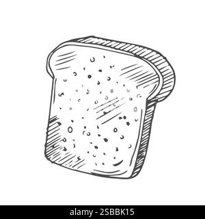 set of drawn sliced bread and toasts illustration isolated on white. wheat rye or whole grain square loaf with various bread slices. sandwich icons co Stock Vector