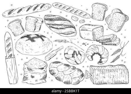 Bakery products set. Sketch with bread and bun, flour and wheat, loaf and bagel in hand drawn style. Farm, agriculture and cereals concept. Linear fla Stock Vector
