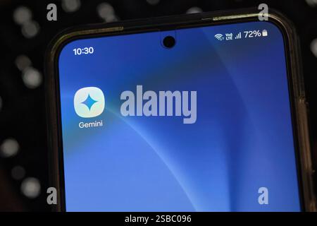 The screen of a smartphone with an AI Gemini app from Google Stock Photo