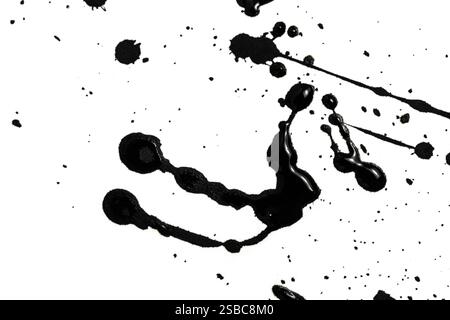 Black ink splashes isolated on white background. monochrome Stock Photo