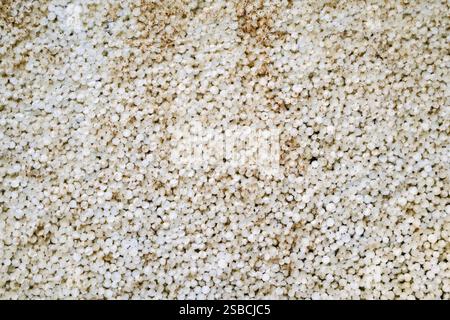 Texture from the cells of old styrofoam. Non-durable material Stock Photo