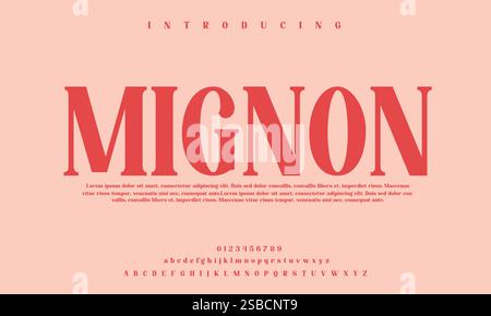 Elegant Font, Serif Typeface, Sans Serif, Modern Typography, Classic Lettering, Handwritten Font, Display Font, Script Typeface, Uppercase Letters, Stock Vector