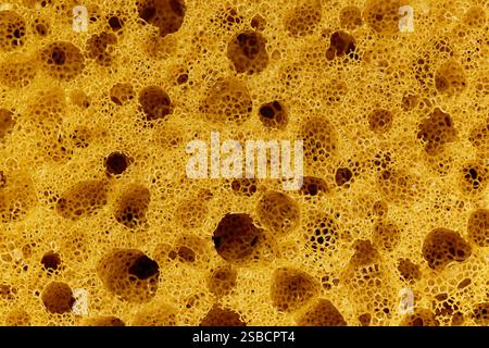Texture of yellow hard sponge for washing dishes. Macro photography Stock Photo