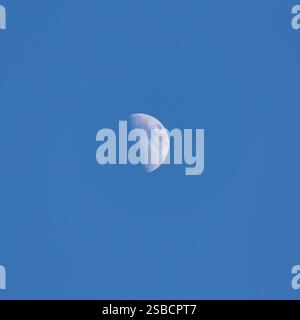 Half moon in a blue cloudless evening sky. Stock Photo