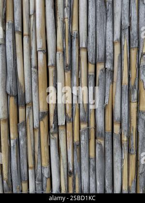 Weathered Reed Fence Texture Close-Up, Eroded by the Elements Stock Photo