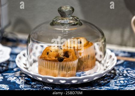 Macro closeup of chocolate chip muffins in paper liner, pastry dessert sweets for continental breakfast on tray display in cafe, store or home covered Stock Photo