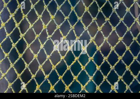A mesh of green and black strings. The mesh is made of metal and is used to keep things in or out Stock Photo