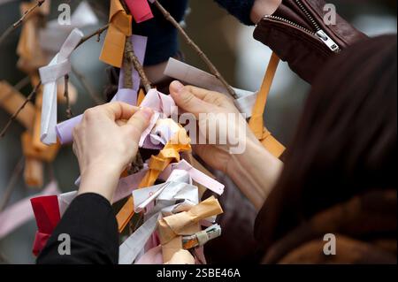 People tying their 'omikuji' (good or bad luck paper oracle) to a branch during 'hatsumode' (New Year shrine visit) at Taga Taisha, Hikone, Japan. Stock Photo