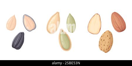 Cartoon seeds. Organic raw sunflower seeds, pumpkin seeds and pine nuts, tasty snacks for vegetarian diet flat vector illustration set. Delicious Stock Vector