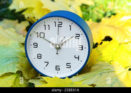 Autumn time. Alarm clock among fallen leaves, closeup Stock Photo