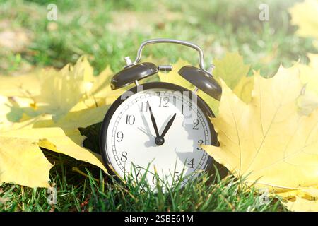 Autumn time. Alarm clock among fallen leaves on green grass, closeup Stock Photo