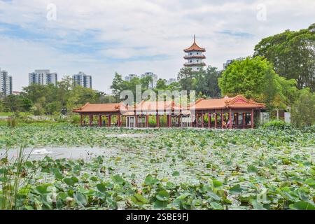 Jurong, Singapore - 2 February 2025: The water lotus pond at Singapore Chinese Garden with the pavilion and pagoda in the background. Stock Photo