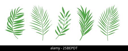 Palm tree icon clipart set. Green palm and coconut leaf clip art collection tropical summer symbol in white background vector illustration. Stock Vector