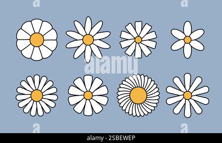 White daisy chamomile collection Stock Vector