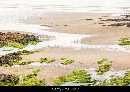 Sand beach in low tide with seaweed on the cliffs Stock Photo