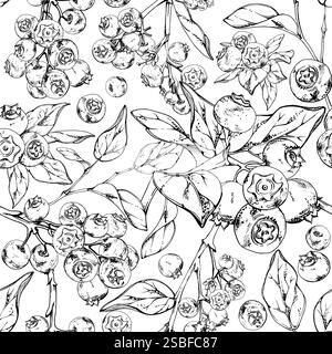 Blueberry blackberry with plant leaves, hand drawn in ink vector, forest berry in group clusters on branches. Seamless banner garland illustration Stock Vector