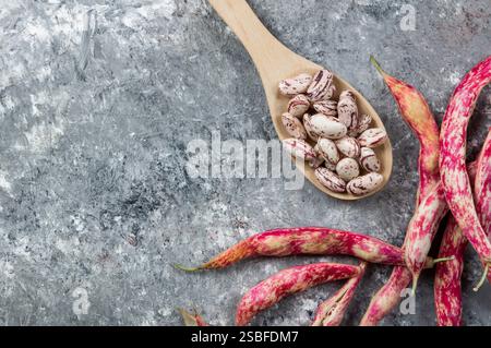 Harvested uncooked dried roman beans with raw pod plant on rustic background, heap of legume kidney bean concept Stock Photo