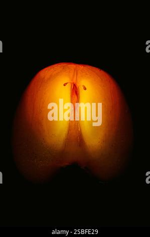 Persimmons cut on a black handicap Stock Photo