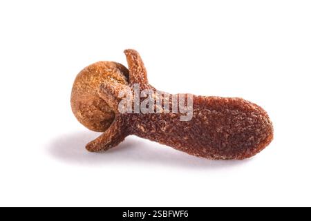 Clove isolated on white background Stock Photo
