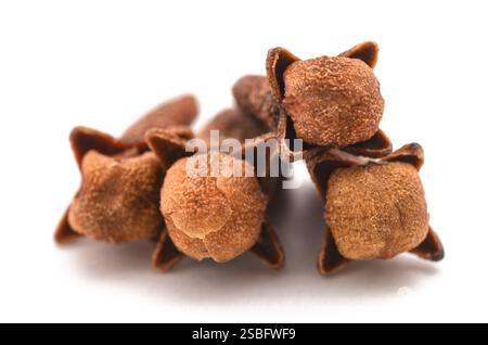 Cloves group isolated on white background Stock Photo